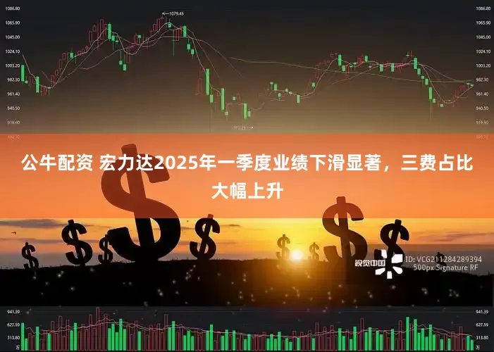 公牛配资 宏力达2025年一季度业绩下滑显著，三费占比大幅上升