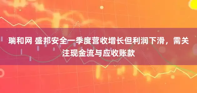 瑞和网 盛邦安全一季度营收增长但利润下滑，需关注现金流与应收账款