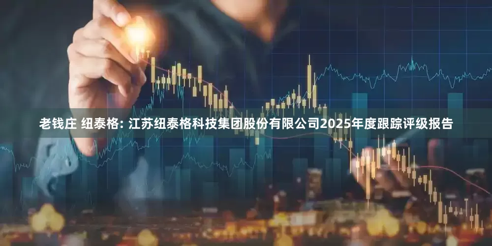 老钱庄 纽泰格: 江苏纽泰格科技集团股份有限公司2025年度跟踪评级报告