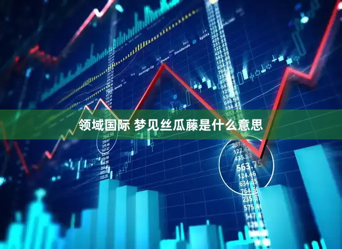 领域国际 梦见丝瓜藤是什么意思