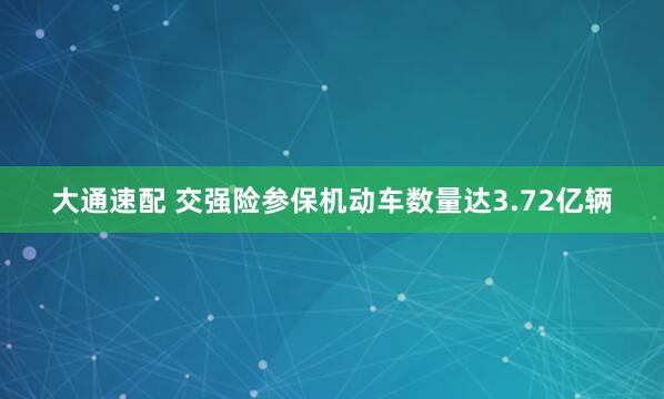 大通速配 交强险参保机动车数量达3.72亿辆