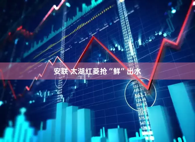安联 太湖红菱抢“鲜”出水