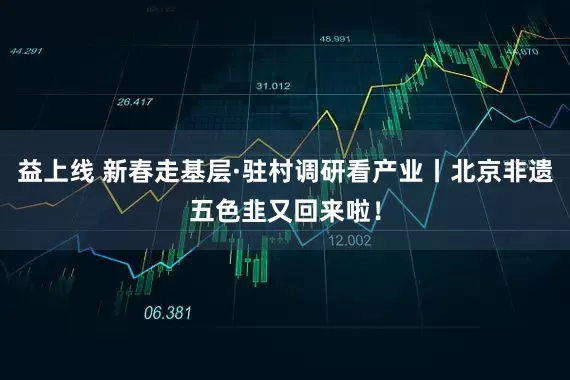 益上线 新春走基层·驻村调研看产业丨北京非遗五色韭又回来啦!