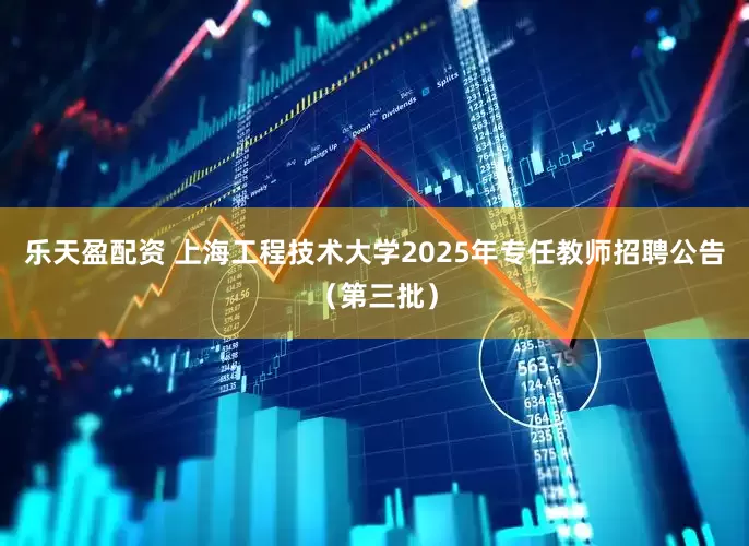 乐天盈配资 上海工程技术大学2025年专任教师招聘公告(第三批)