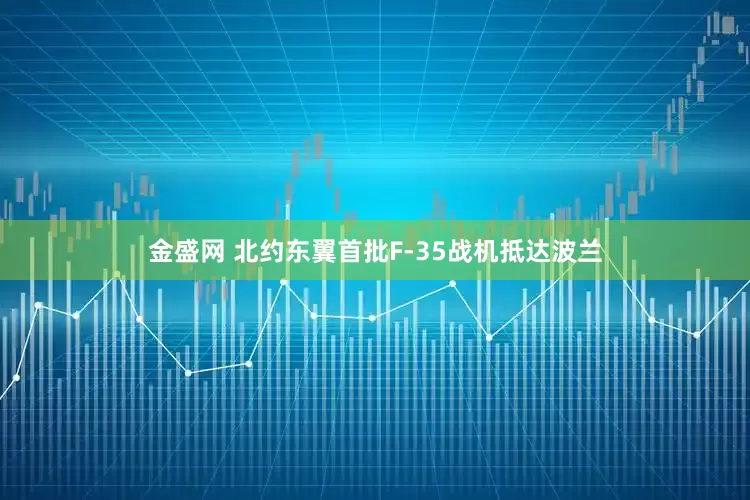 金盛网 北约东翼首批F-35战机抵达波兰