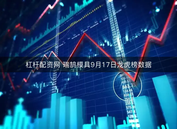 杠杆配资网 瑞鹄模具9月17日龙虎榜数据
